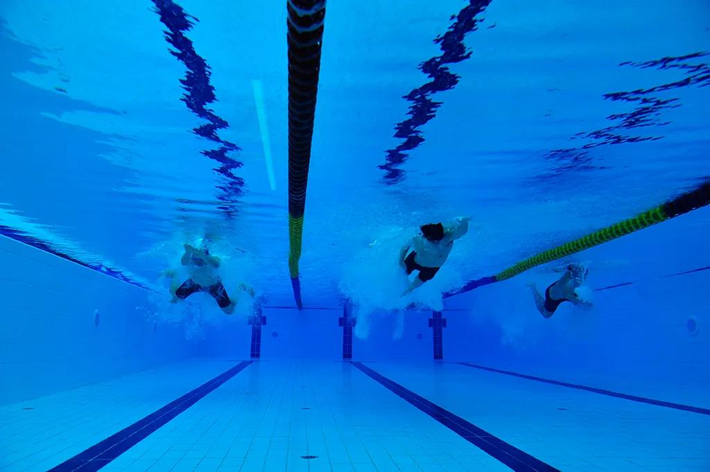 賀31周年|合作共贏新平臺，凝心聚力再出發(fā)