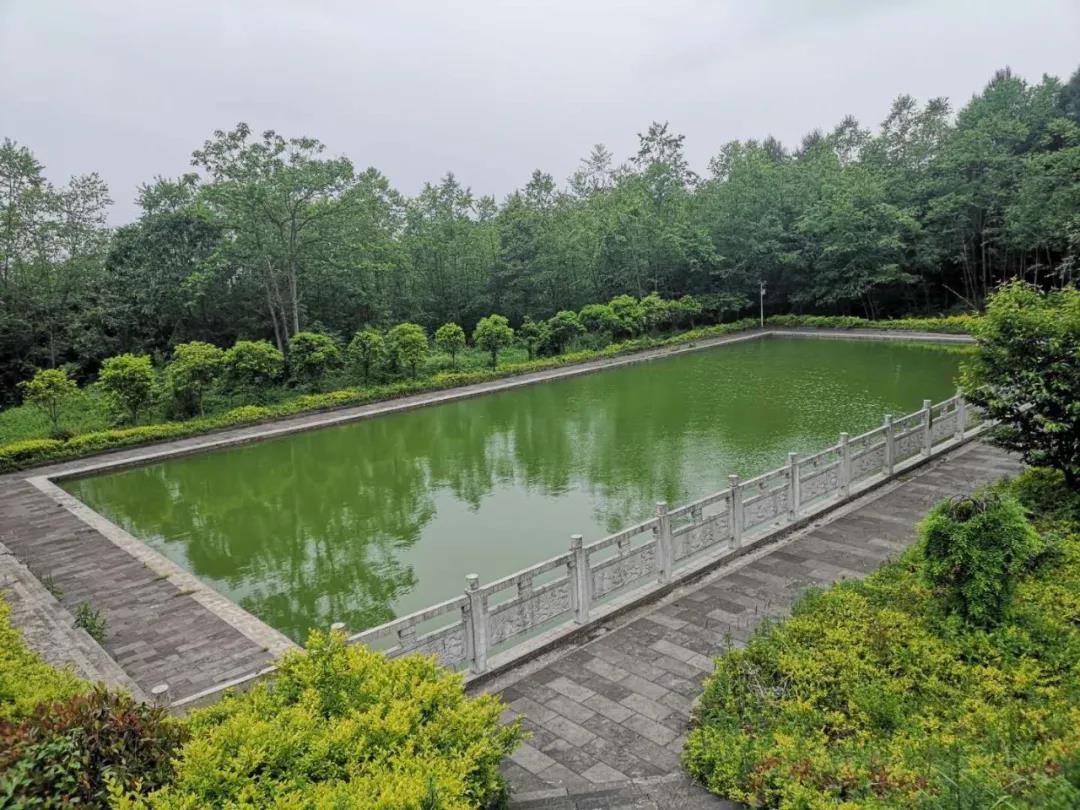 沒(méi)做水處理系統(tǒng)的舊泳池荒廢成臭水池？