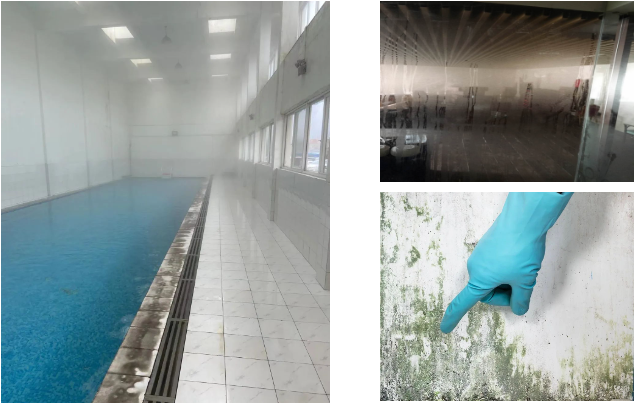 室內(nèi)泳池潮濕環(huán)境現(xiàn)象 室內(nèi)泳池潮濕環(huán)境現(xiàn)象