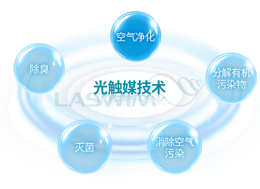 室內游泳池 室內游泳池